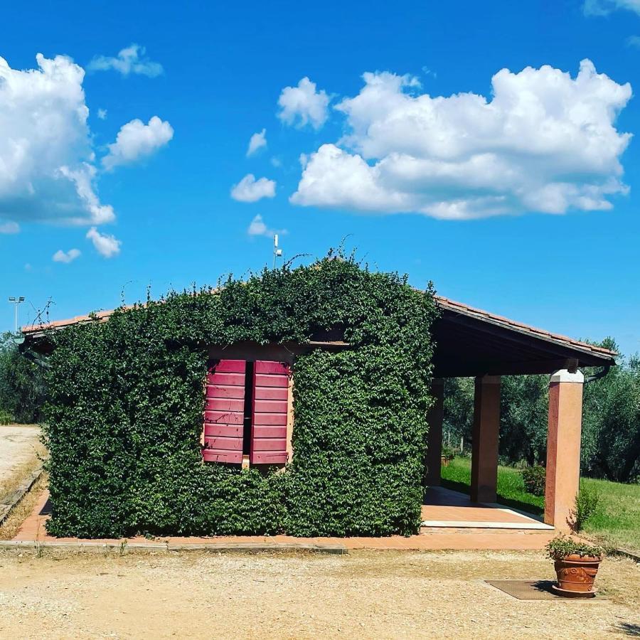 Tenuta Agricola Fraschiera Villa Massa Marittima Eksteriør billede
