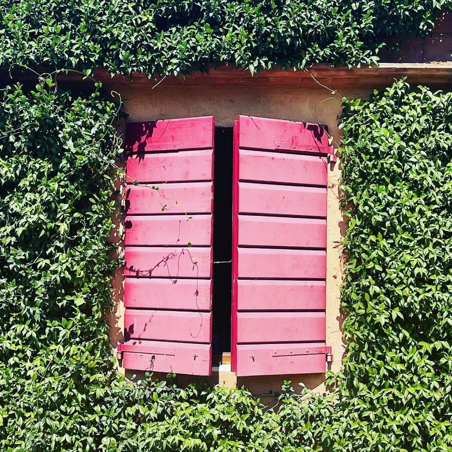 Tenuta Agricola Fraschiera Villa Massa Marittima Eksteriør billede