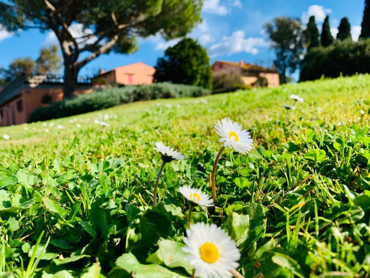 Tenuta Agricola Fraschiera Villa Massa Marittima Eksteriør billede