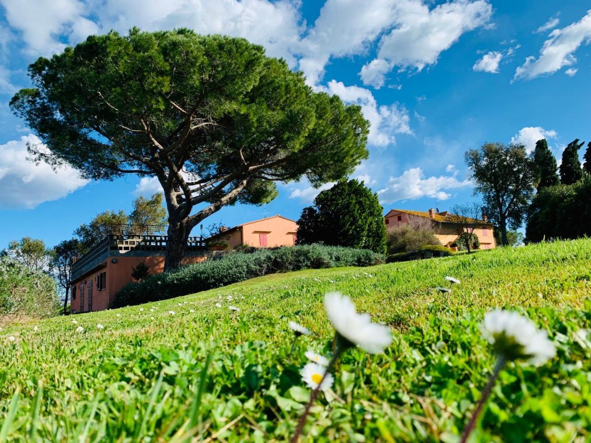 Tenuta Agricola Fraschiera Villa Massa Marittima Eksteriør billede
