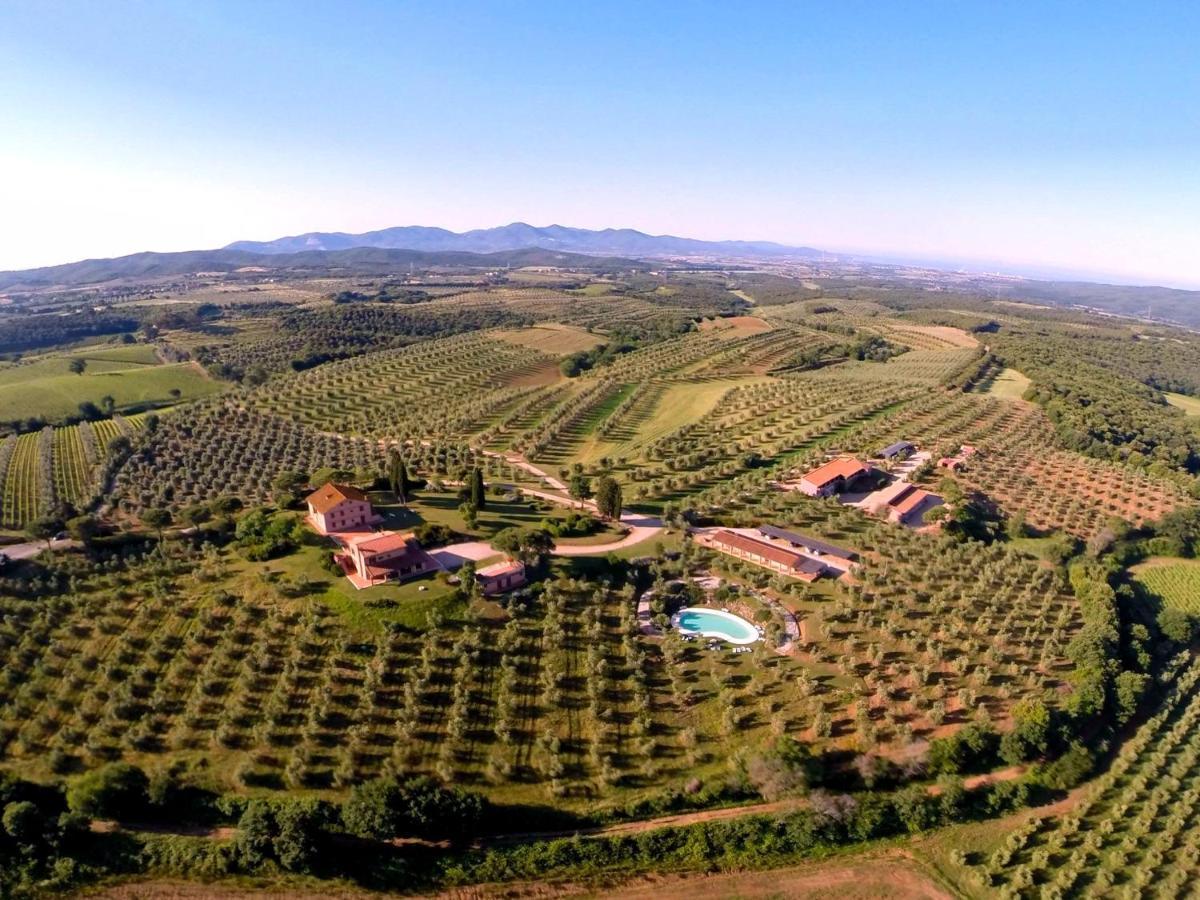 Tenuta Agricola Fraschiera Villa Massa Marittima Eksteriør billede