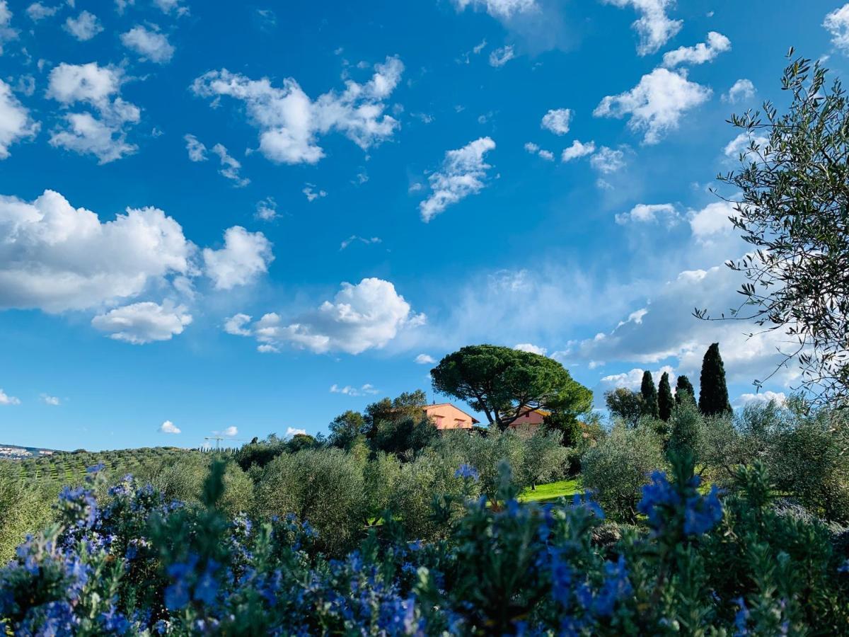 Tenuta Agricola Fraschiera Villa Massa Marittima Eksteriør billede