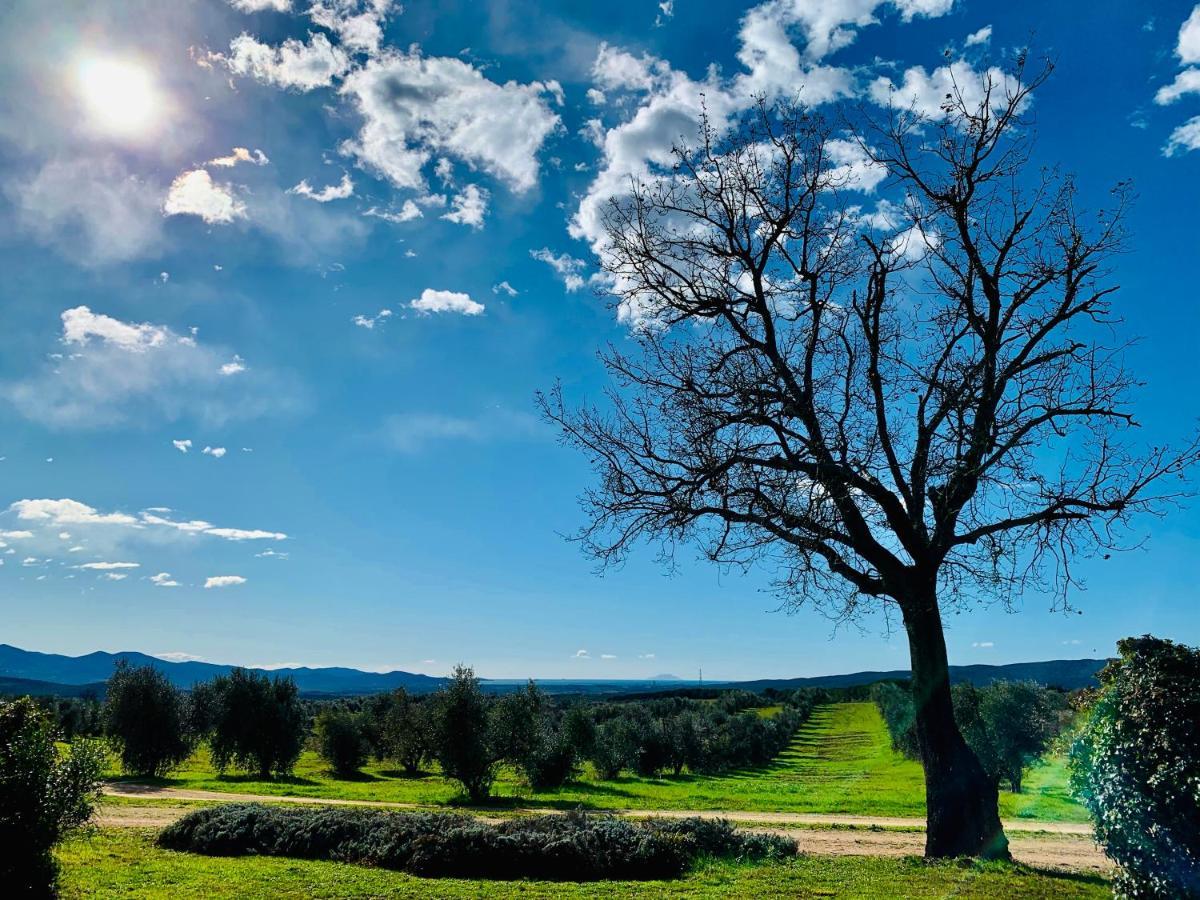 Tenuta Agricola Fraschiera Villa Massa Marittima Eksteriør billede