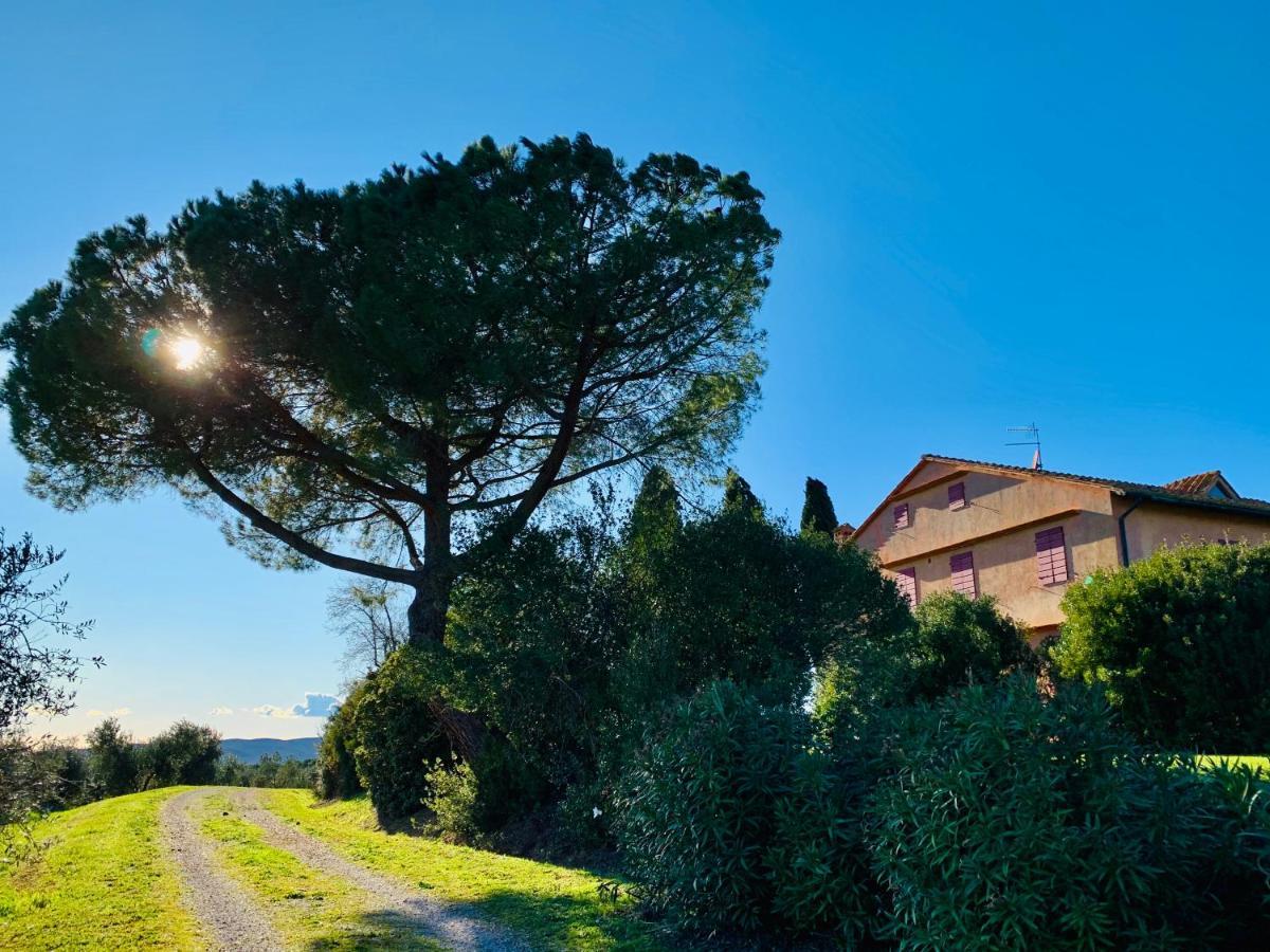 Tenuta Agricola Fraschiera Villa Massa Marittima Eksteriør billede