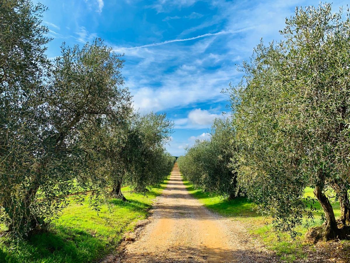 Tenuta Agricola Fraschiera Villa Massa Marittima Eksteriør billede