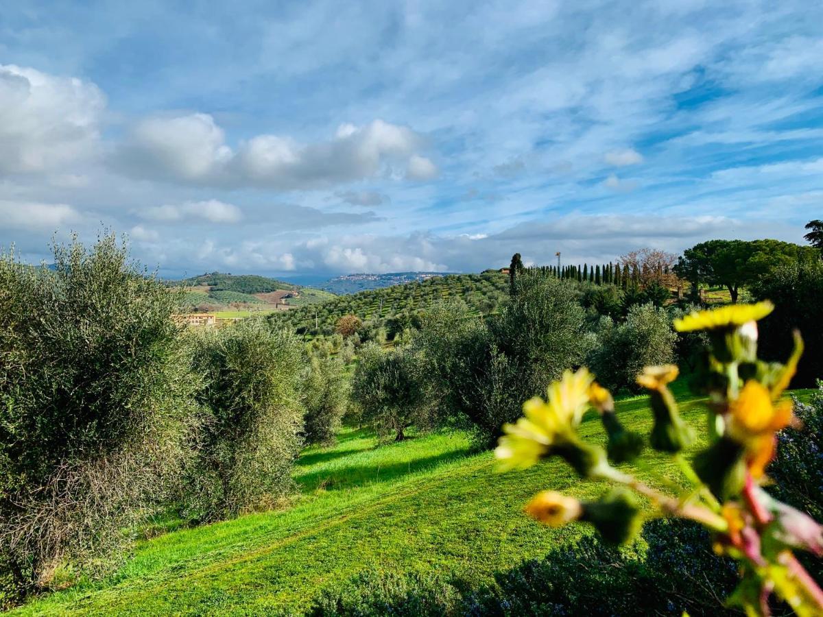 Tenuta Agricola Fraschiera Villa Massa Marittima Eksteriør billede